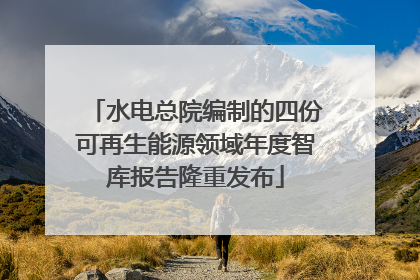 水电总院编制的四份可再生能源领域年度智库报告隆重发布